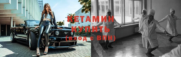 стафф Новокубанск