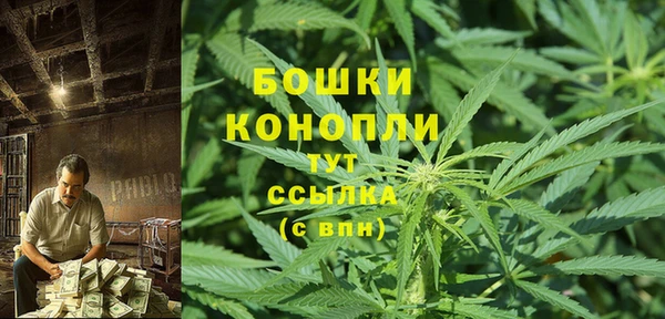 стафф Новокубанск