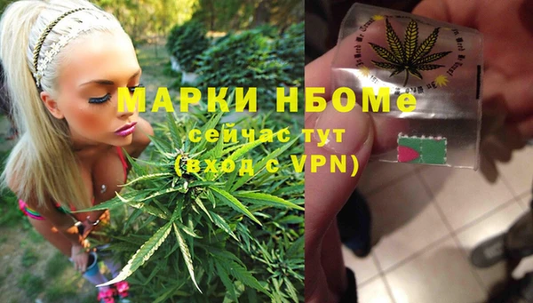 не бодяженный Новозыбков