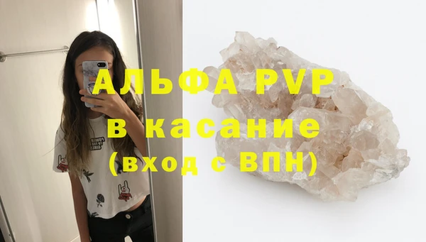 стафф Новокубанск