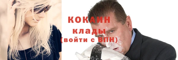 стафф Новокубанск