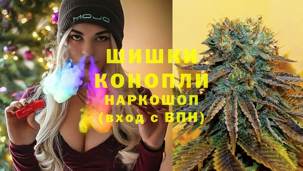 стафф Новокубанск
