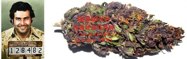 стафф Новокубанск