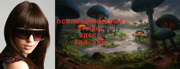 не бодяженный Новозыбков