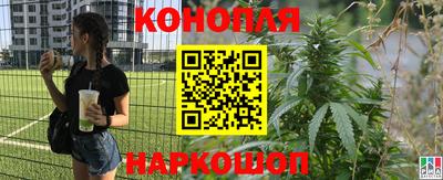 гашик Абинск