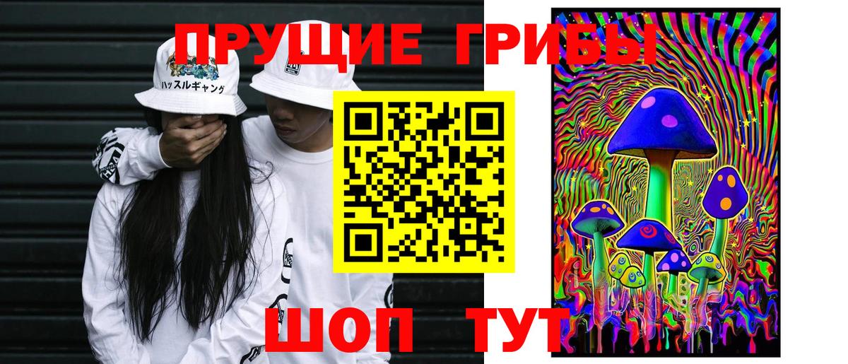 Алексин  наркошоп  Вход с VPN  Галлюциногенные грибы GOLDEN TEACHER 