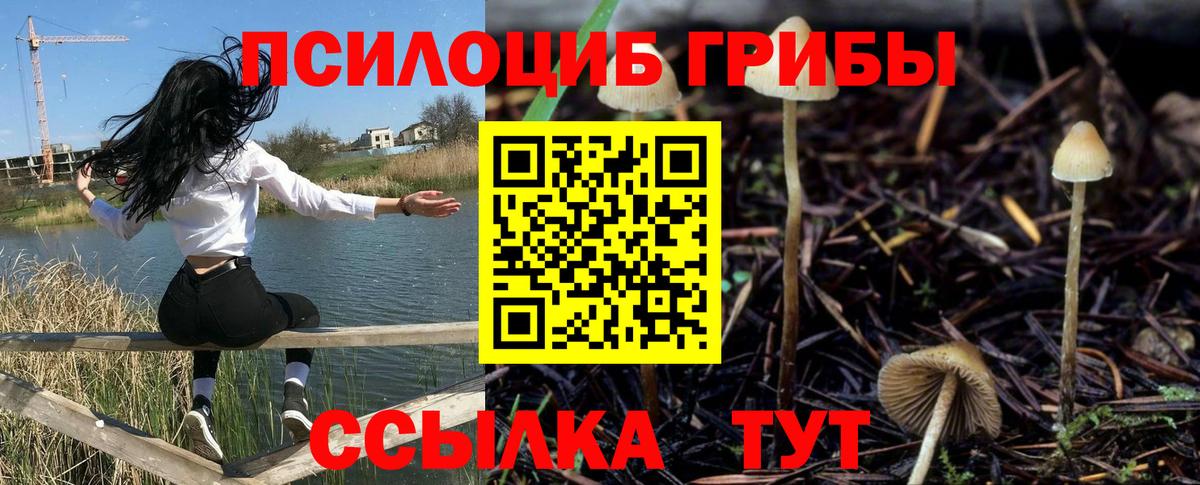 Алексин  Галлюциногенные грибы прущие грибы  Вход с VPN  Галлюциногенные грибы GOLDEN TEACHER 