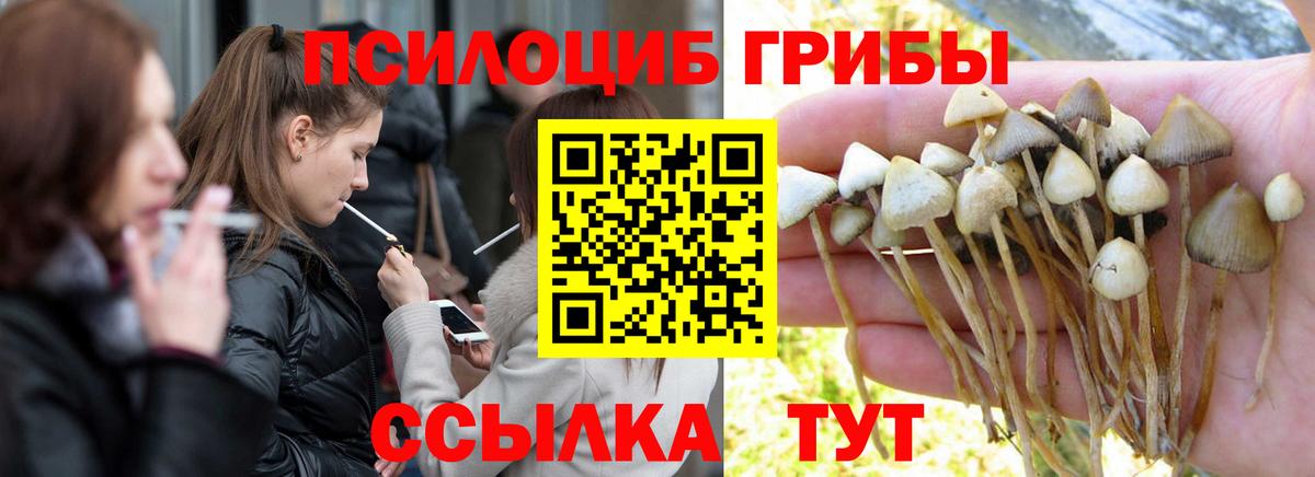 Галлюциногенные грибы мухоморы Алексин